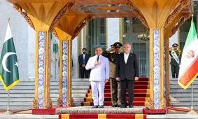 تذکر دژبان تشریفات ریاست‌جمهوری به پزشکیان/ ویدئو

