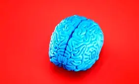 ارتباط بیش فعالی ناحیه‌ای از مغز با یک اختلال روانی