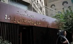 شرط حذف نشدن یارانه ایرانیان مقیم خارج 