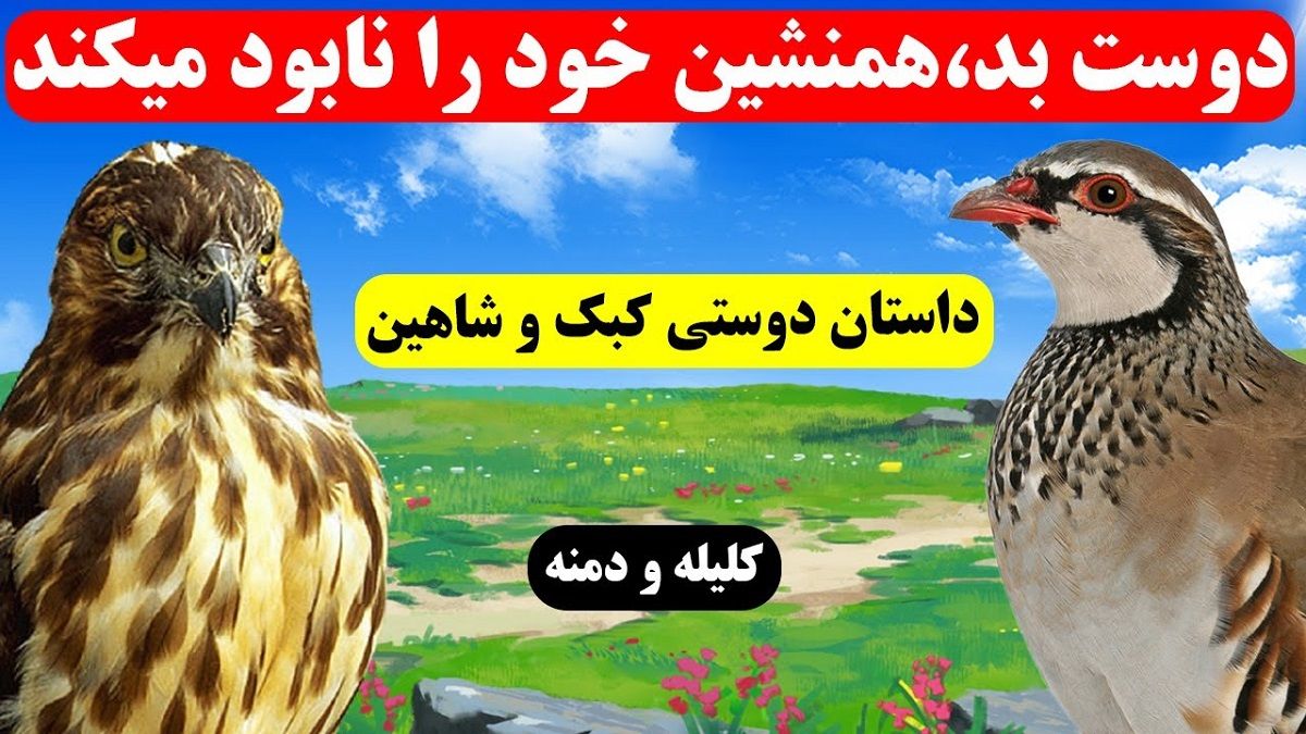 داستان دوستی کبک و شاهین 1