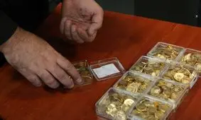 قیمت سکه، نیم‌ سکه، ربع‌سکه ۱۷ اسفندماه ۱۴۰۳/ ربع‌سکه ۲۲ میلیون تومان شد