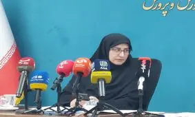 ۱۴۱ هزار بازمانده از تحصیل داریم، نه یک میلیون!/ هوم اسکول ها غیرمجاز هستند و مدارکشان معتبر نیست/ ۹۷ درصد دانش آموزان در آموزش مجازی بودند