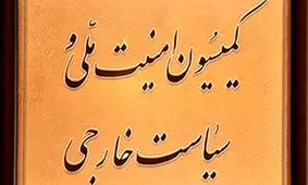 حضور وزیر امور خارجه در کمیسیون امنیت ملی و سیاست خارجی مجلس