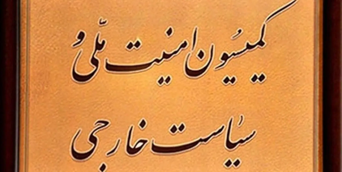 حضور وزیر امور خارجه در کمیسیون امنیت ملی و سیاست خارجی مجلس