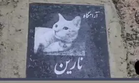 قبرستانی متفاوت و عجیب در ایران/ ویدئو