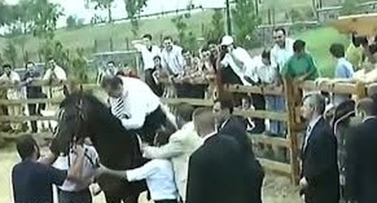 لحظات خندهدار اسب سواری اردوغان | رئیس جمهور ترکیه در زیر پاهای اسب/ ویدئو