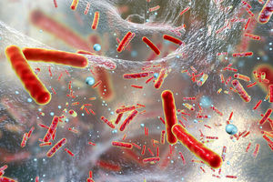 درمان یک سرطان خطرناک با مهندسی معکوس یک باکتری

