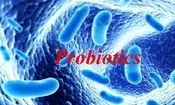 نکاتی درباره پروبیوتیک ها