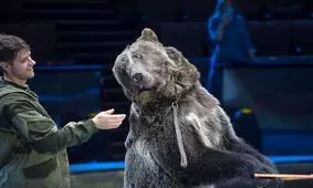  لحظه ترسناک حمله یک خرس در سیرک به مرد بی‌دفاع/ ویدئو