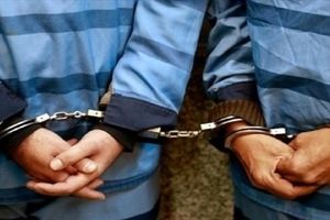 دستگیری متهمان به سرقت گیاهان دارویی در نیشابور