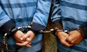 دستگیری متهمان به سرقت گیاهان دارویی در نیشابور
