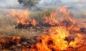 ته سیگار 15 هکتار بستر رودخانه ارس را آتش زد

