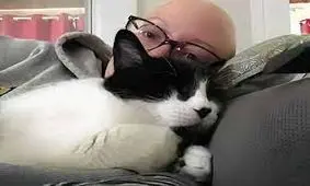 یک گربه سرطان صاحبش را تشخیص داد