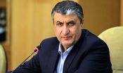 رئیس سازمان انرژی اتمی ایران: آمریکا و اروپا مانع همکاری‌های هسته‌ای ایران شدند/ ایران زیر بار منافع خودخواهانه غرب نمی‌رود