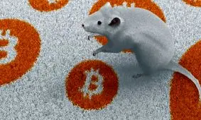 تزریق بیت‌کوین به دی‌ان‌ای یک موش!