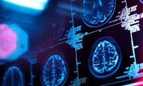 دانشمندان 5 «دوره» اصلی رشد مغز انسان را شناسایی کردند

