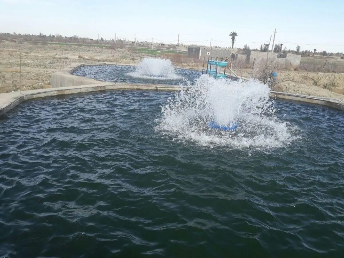 افتتاح استخر پرورش ماهیان سردآبی در روستای بیدک تفتان