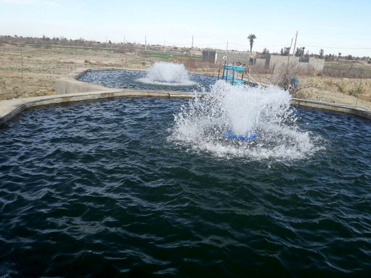 افتتاح استخر پرورش ماهیان سردآبی در روستای بیدک تفتان