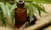 خواص شگفت انگیز یک روغن گیاهی برای پوست، مو و ناخن