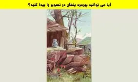تست بینایی؛ آیا می توانید پیرمرد پنهان شده در تصویر زیر را در 5 ثانیه پیدا کنید؟

