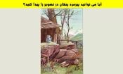 تست بینایی؛ آیا می توانید پیرمرد پنهان شده در تصویر زیر را در 5 ثانیه پیدا کنید؟

