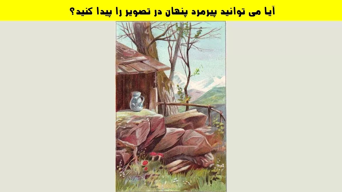 تست بینایی؛ آیا می توانید پیرمرد پنهان شده در تصویر زیر را در 5 ثانیه پیدا کنید؟

