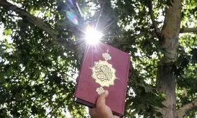بیانیه سازمان فرهنگ و ارتباطات اسلامی برای اهانت به ساحت قرآن در سوئد

