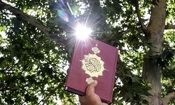 بیانیه سازمان فرهنگ و ارتباطات اسلامی برای اهانت به ساحت قرآن در سوئد

