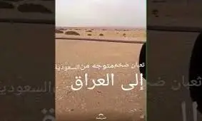 این مار 100 متری ترسناک از صحرای عربستان به سمت عراق در حرکت است/ ویدئو
