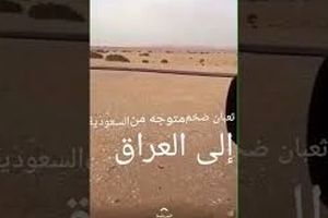 این مار 100 متری ترسناک از صحرای عربستان به سمت عراق در حرکت است/ ویدئو
