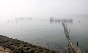 رطوبت در آبادان و خرمشهر به ۱۰۰ درصد رسید