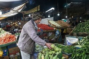 افت قابل توجه قیمت میوه در بازار