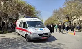 تولد ۱۴۱ نوزاد طی ایام نوروز در آمبولانس