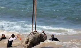 مصر یک مجسمه دو هزار ساله را از بستر سواحل اسکندریه بیرون کشید/ ویدئو