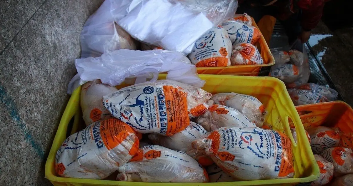 قیمت مرغ به ۴ هزار تومان زیر نرخ مصوب کاهش یافت

