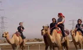 مجروح شدن شرکت کنندگان در مسابقات شترسواری زنان عربستان/ ویدئو