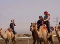 مجروح شدن شرکت کنندگان در مسابقات شترسواری زنان عربستان/ ویدئو