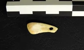 کشف یک آویز ۲۰ هزار ساله از جنس دندان گوزن در سیبری