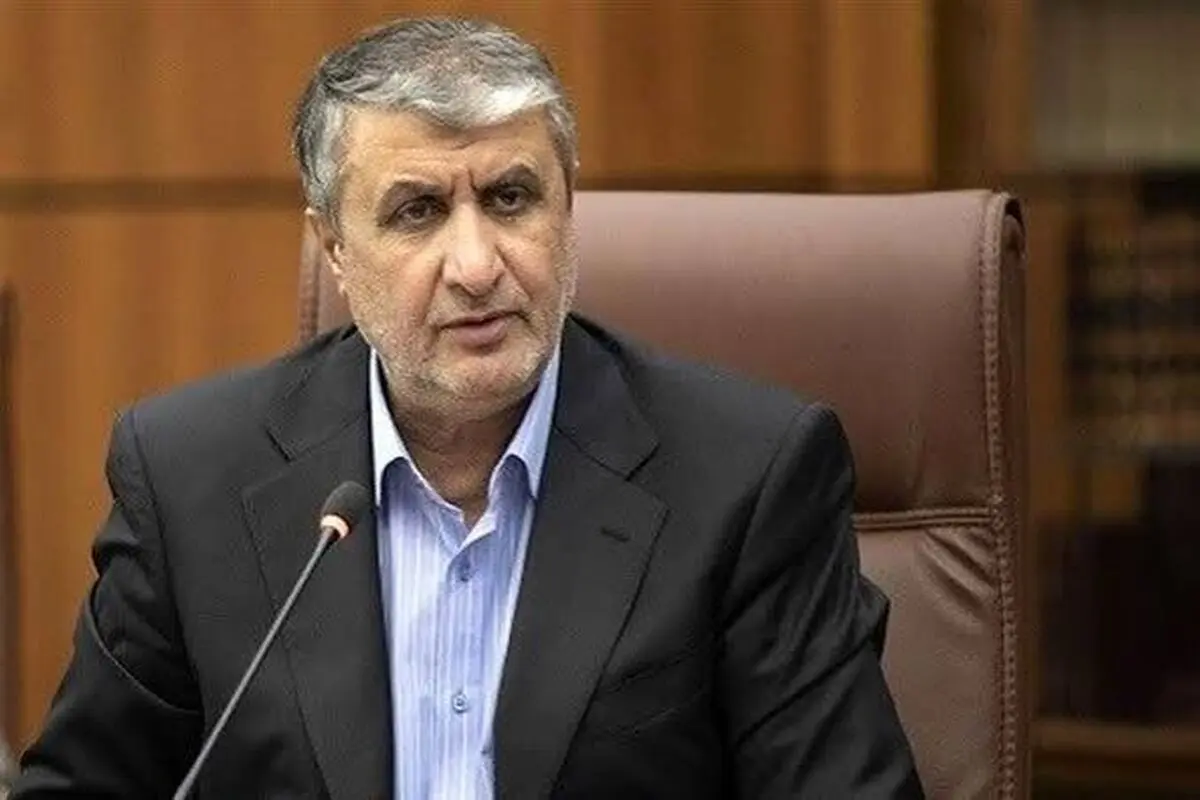رئیس سازمان انرژی اتمی ایران عازم وین شد

