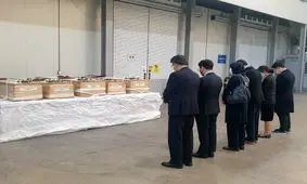 ارسال پیکرهای ۵ ایرانی جان‌ باخته در حادثه جشن هالووین سئول به تهران

