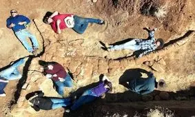 کشف هیولای ۷ متری بعد از ۱۰۰ میلیون سال از زیر خاک