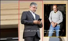 نمی‌شود سلطان سکه را در مدت کوتاه اعدام کنید اما نوبت به وزیرتان که رسید همه چیز غیرشفاف شود