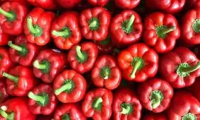 چرا فلفل دلمه ای برگشت خورده از روسیه، در مناطق فقیرنشین کشورمان فروخته شد؟