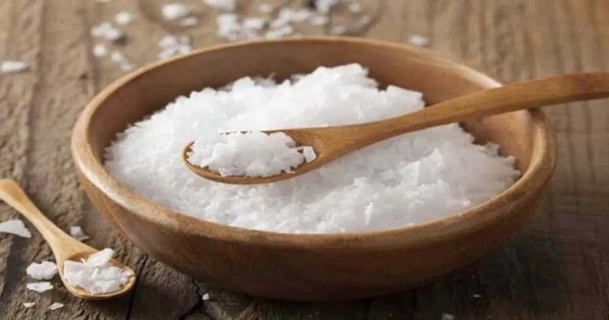 آلودگی میکروبی و فلزات سنگین در نمک های دریایی فله