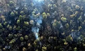 تصاویر هوایی آتش سوزی جنگل‌های مریوان