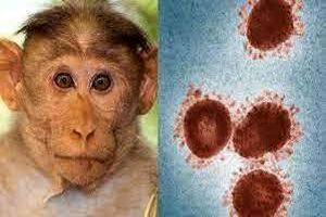 مشاهده نخستین مورد از ابتلا به آبله میمون در هند