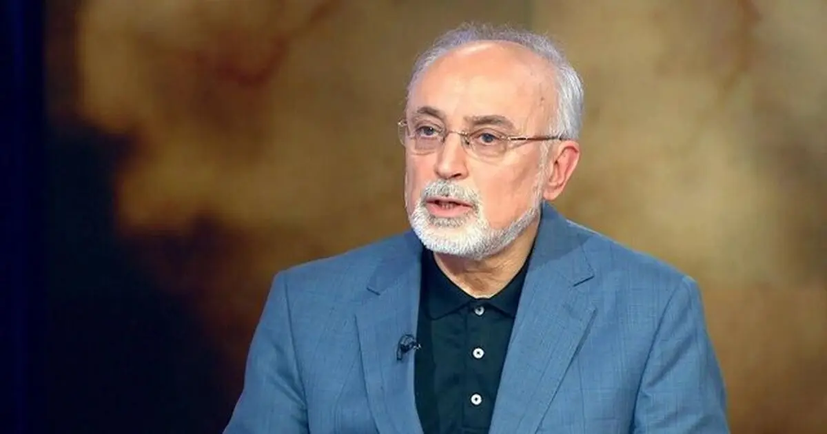 ایران به دنبال تقابل نیست و از گروه‌های مقاومت از نظر «اخلاقی» حمایت می‌کند/ «فنون جنگ» را به آن‌ها آموزش می‌دهد اما فقط در همین حد پیش رفته است
