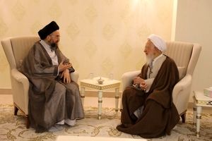 دیدار حکیم و آیت الله جوادی آملی/ رایزنی درباره چالش‌های امت اسلامی 


