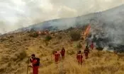 بالگرد و نیروهای ویژه در حال خاموش کردن آتش در ارتفاعات کوهمره‌سرخی شیراز هستند
