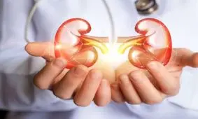 علائم سنگ کلیه چیست و چه افرادی بیشتر در معرض ابتلا هستند؟